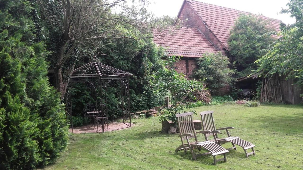 Gite Au Petit Ruisseau-Etage Et Combles-Maison Alsacienne 4 Personnes 4 Nuitees Minimum Langensoultzbach Exteriör bild