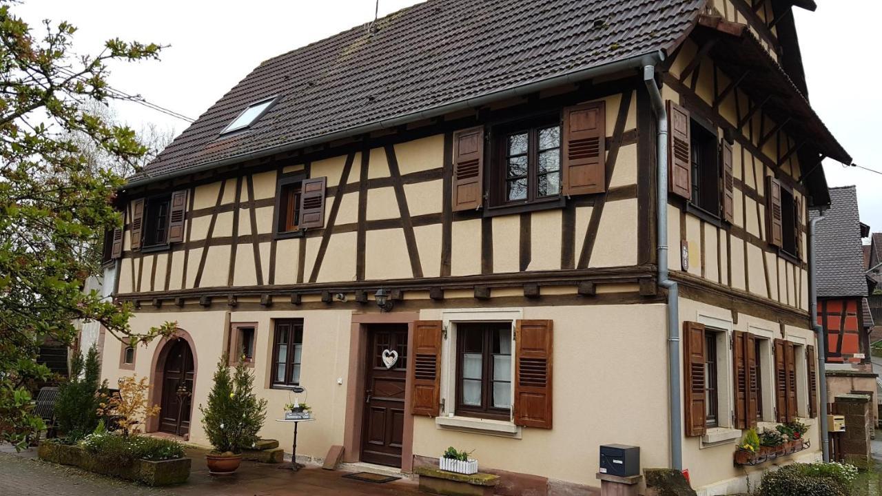 Gite Au Petit Ruisseau-Etage Et Combles-Maison Alsacienne 4 Personnes 4 Nuitees Minimum Langensoultzbach Exteriör bild
