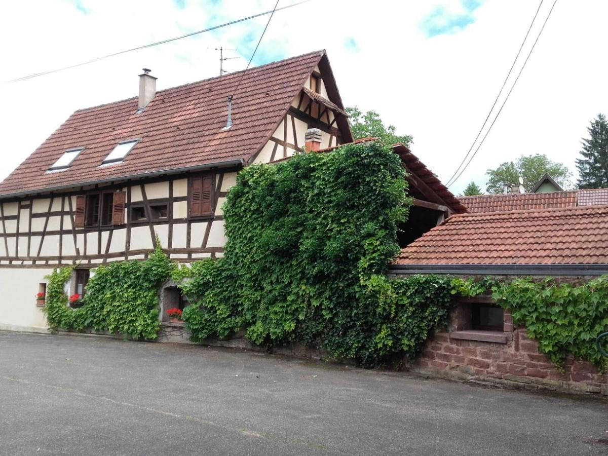 Gite Au Petit Ruisseau-Etage Et Combles-Maison Alsacienne 4 Personnes 4 Nuitees Minimum Langensoultzbach Exteriör bild