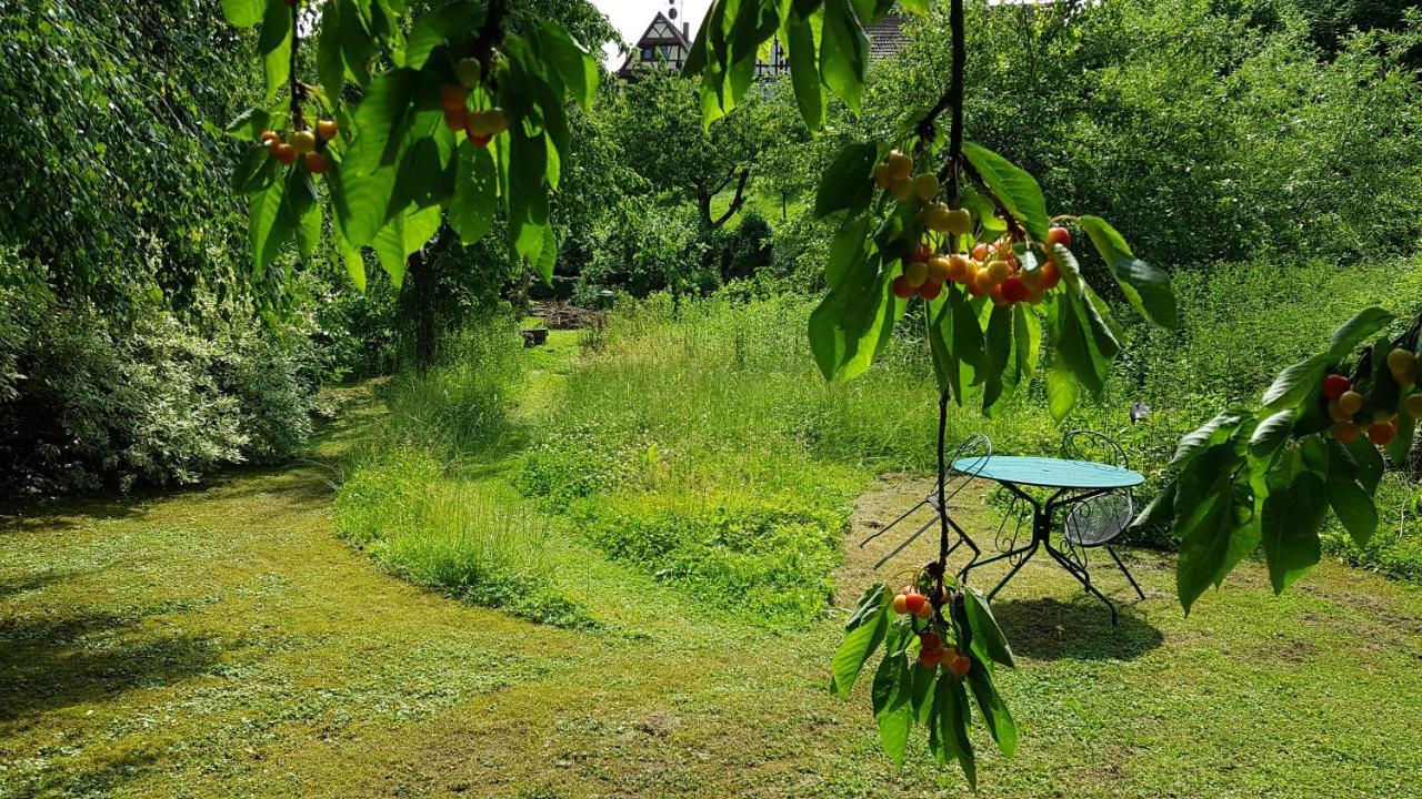Gite Au Petit Ruisseau-Etage Et Combles-Maison Alsacienne 4 Personnes 4 Nuitees Minimum Langensoultzbach Exteriör bild