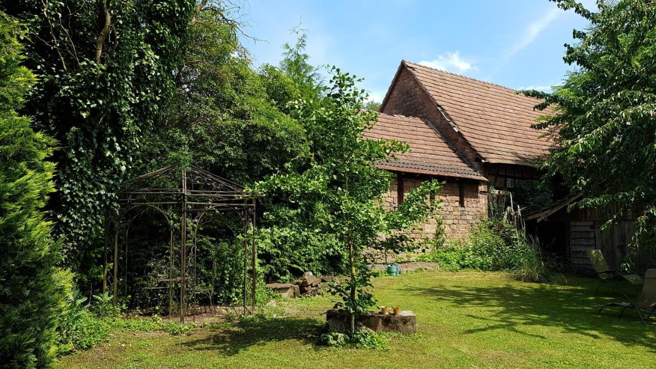 Gite Au Petit Ruisseau-Etage Et Combles-Maison Alsacienne 4 Personnes 4 Nuitees Minimum Langensoultzbach Exteriör bild