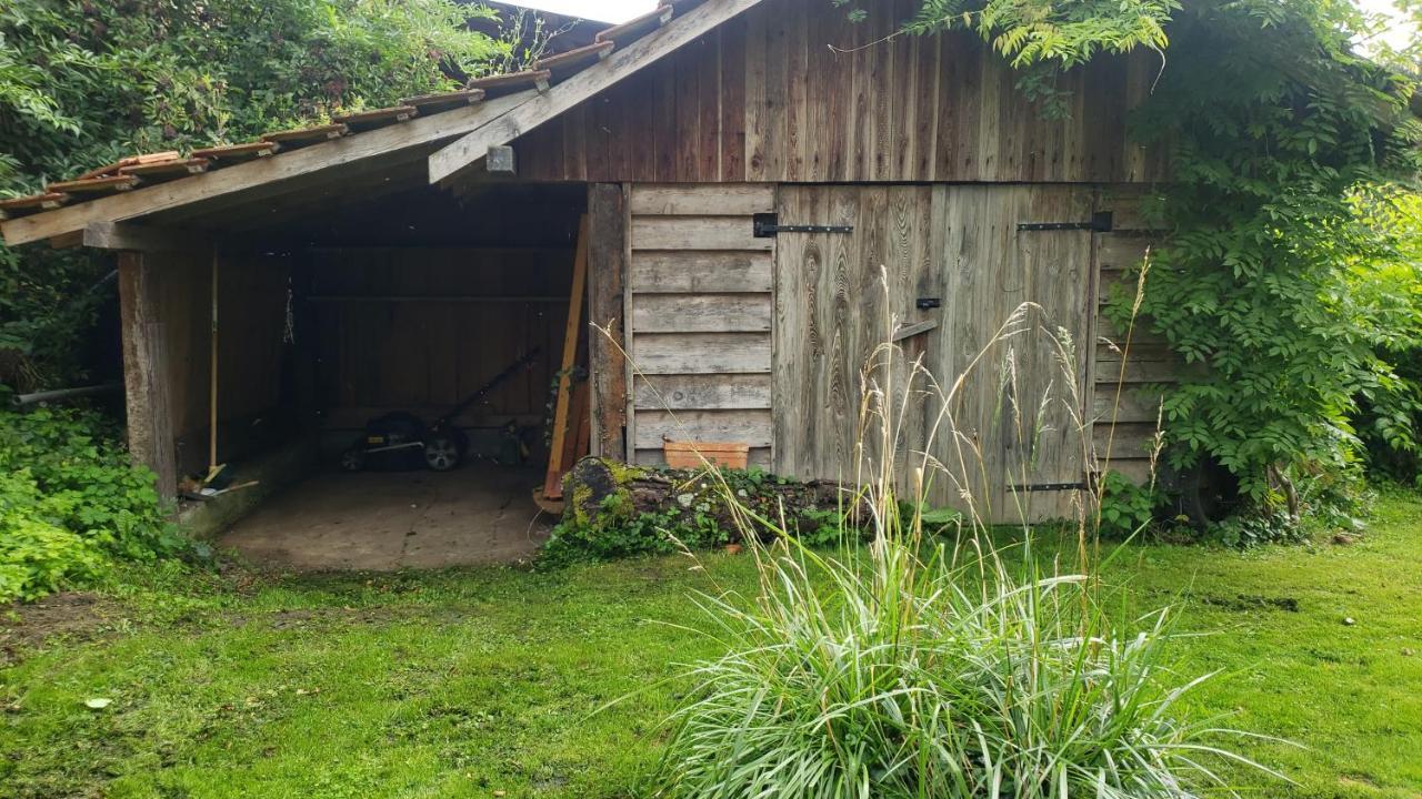 Gite Au Petit Ruisseau-Etage Et Combles-Maison Alsacienne 4 Personnes 4 Nuitees Minimum Langensoultzbach Exteriör bild