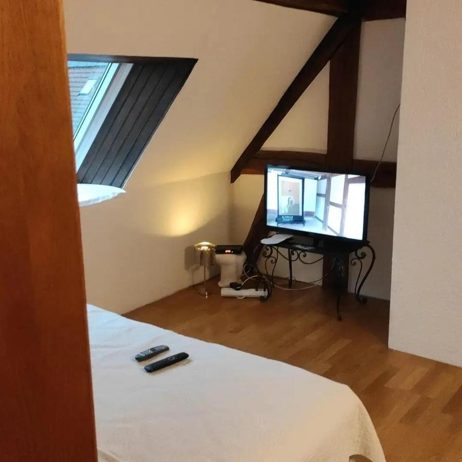Gite Au Petit Ruisseau-Etage Et Combles-Maison Alsacienne 4 Personnes 4 Nuitees Minimum Langensoultzbach Exteriör bild