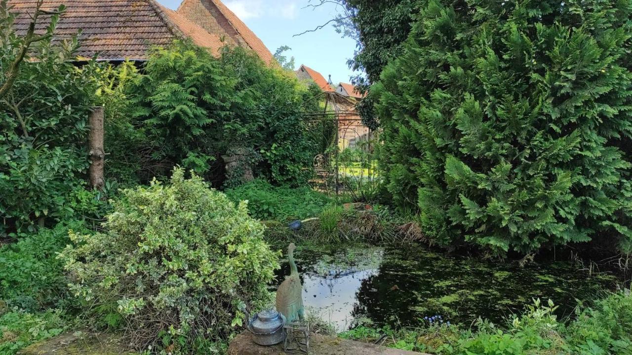 Gite Au Petit Ruisseau-Etage Et Combles-Maison Alsacienne 4 Personnes 4 Nuitees Minimum Langensoultzbach Exteriör bild