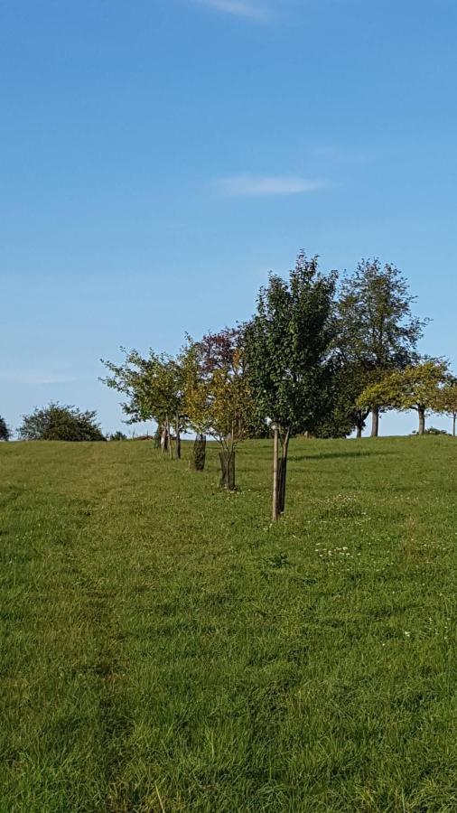 Gite Au Petit Ruisseau-Etage Et Combles-Maison Alsacienne 4 Personnes 4 Nuitees Minimum Langensoultzbach Exteriör bild