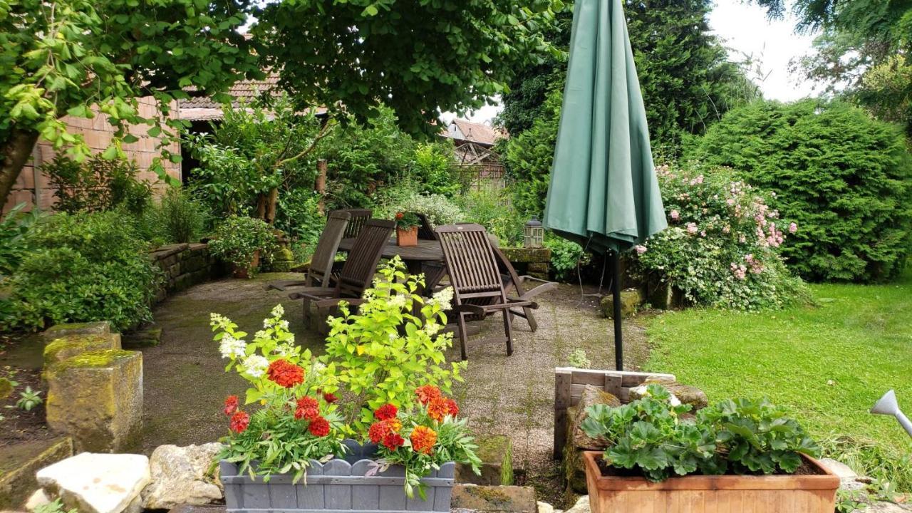 Gite Au Petit Ruisseau-Etage Et Combles-Maison Alsacienne 4 Personnes 4 Nuitees Minimum Langensoultzbach Exteriör bild
