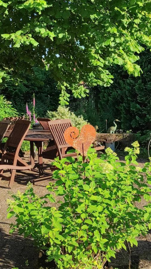 Gite Au Petit Ruisseau-Etage Et Combles-Maison Alsacienne 4 Personnes 4 Nuitees Minimum Langensoultzbach Exteriör bild