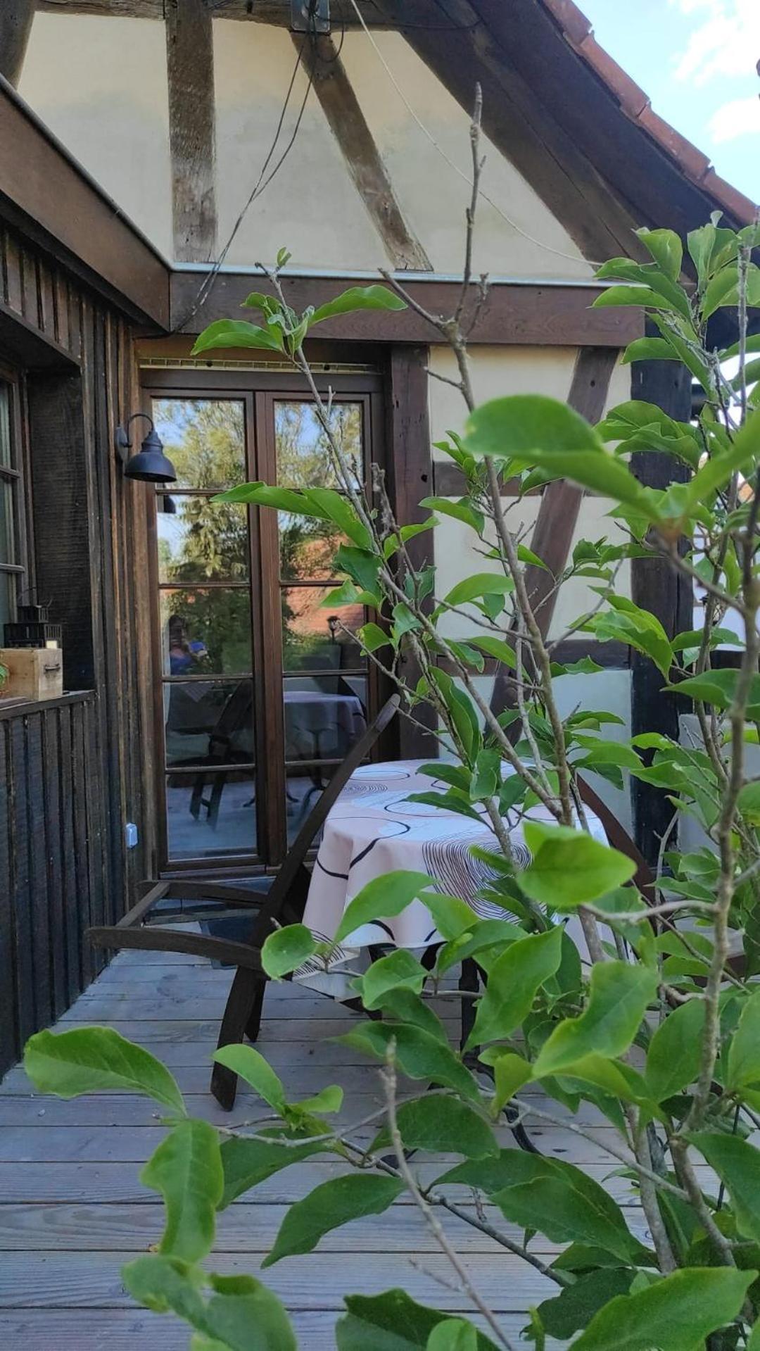 Gite Au Petit Ruisseau-Etage Et Combles-Maison Alsacienne 4 Personnes 4 Nuitees Minimum Langensoultzbach Exteriör bild
